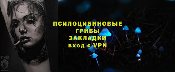 ешки Алзамай