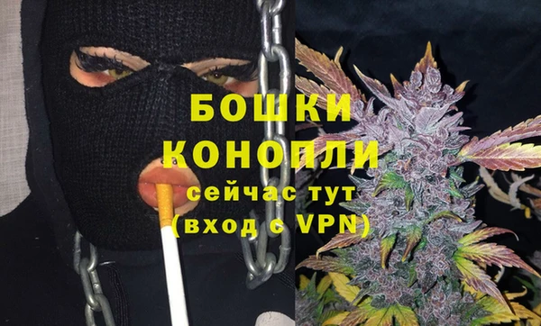ешки Алзамай