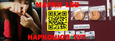 гашик Кунгур