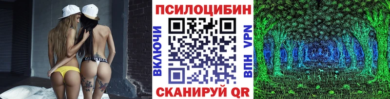 МЕГА ссылки  Карабулак  Галлюциногенные грибы Cubensis 